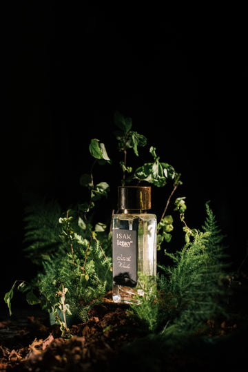 INTO THE WOODS (EAU DE PARFUM)- 50 ml - Legacy Collective