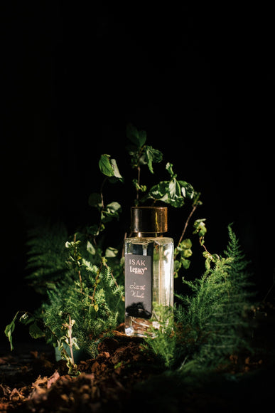 INTO THE WOODS (EAU DE PARFUM)- 50 ml - Legacy Collective